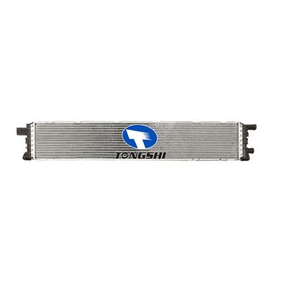 適用于奧迪A5?(8T3) 中冷器