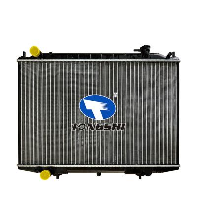 適用于 日產 達特?？ㄜ?DATSUN TRUCK 97-99 MT 散熱器
